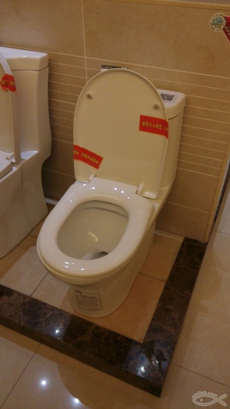 挑選馬桶 挑選馬桶